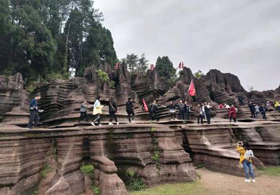 ܽ���(zh��n) (3)